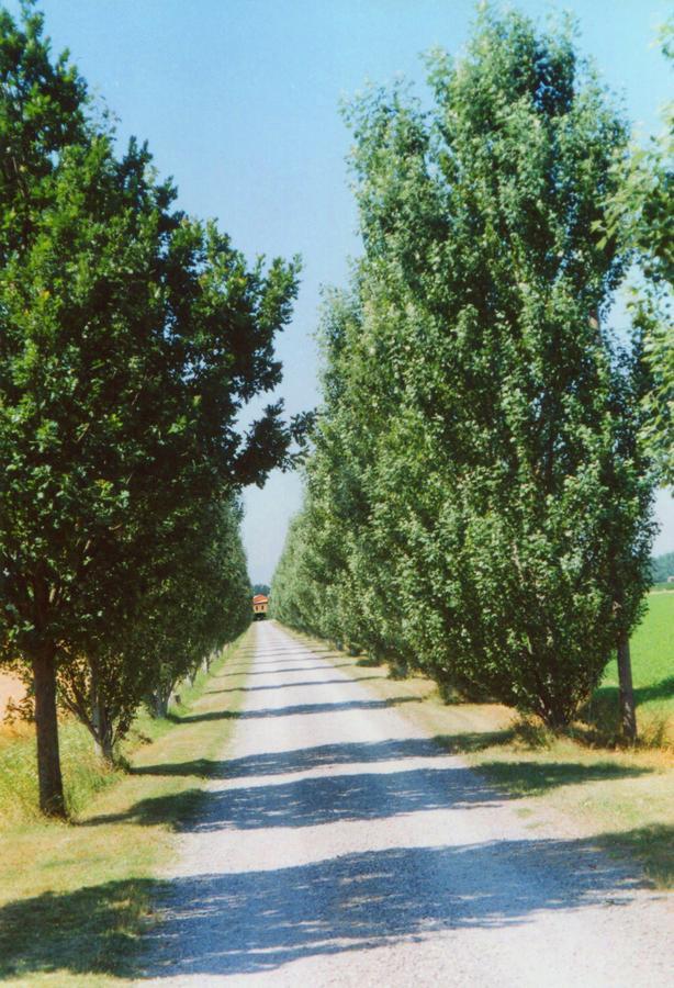 Agriturismo Le Colombaie Busseto Buitenkant foto